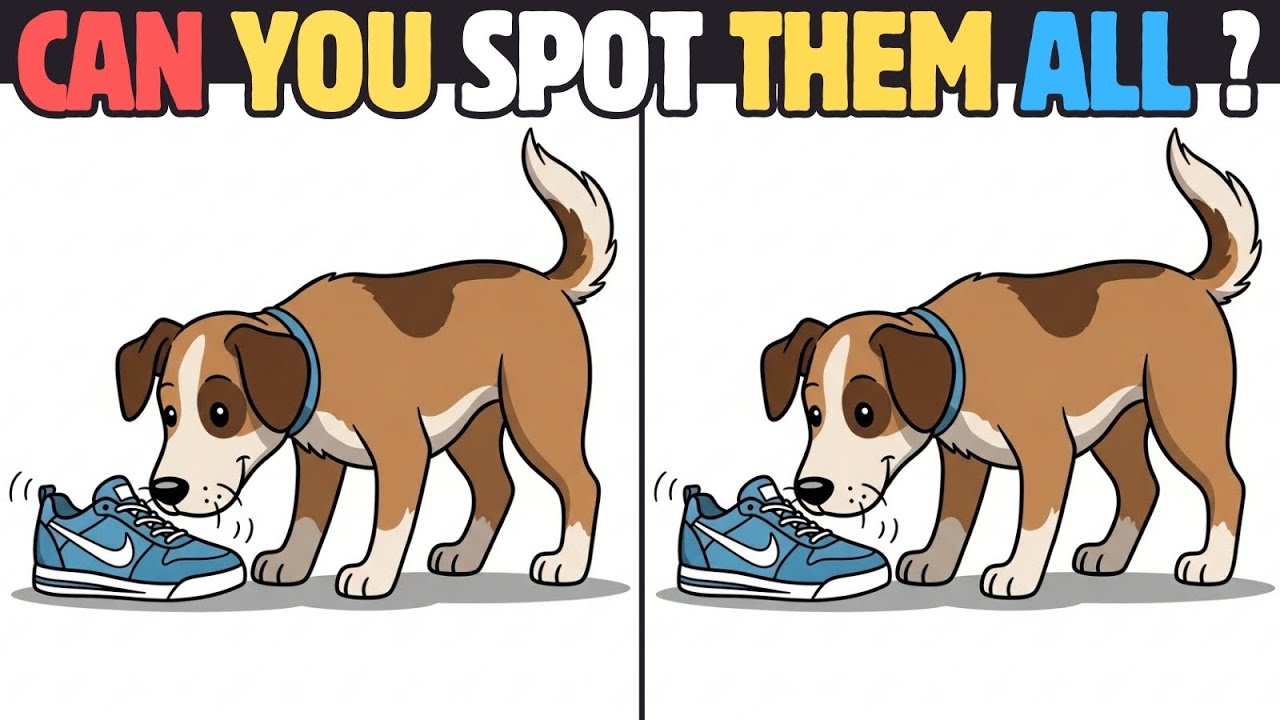 Spot the Difference &ndash; Simple but Tricky Visual Puzzles