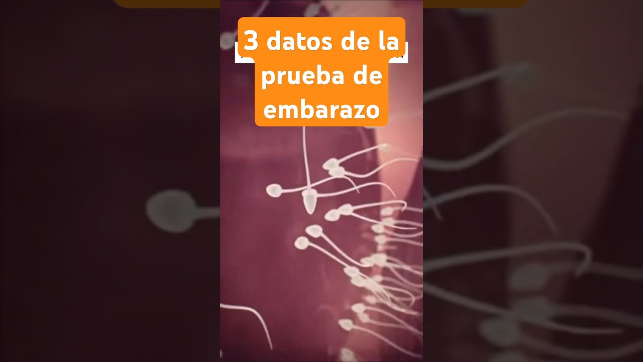 3 Datos de la prueba de embarazo: ¿A los cuantos dias es valida? ¿requiere ayuno? ¿sangre u orina?