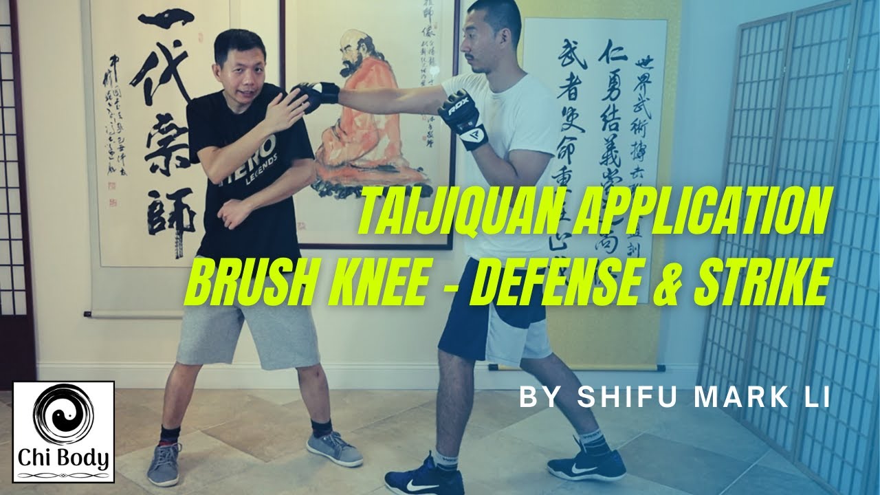 Taijiquan Brush Knee Application - Defense & Strike