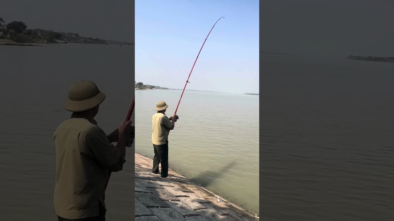 Ông cụ vừa ra đường tiêu thứ 2 dính luôn cá mè ta gần 3kg , gừng càng già càng cay 😵‍💫😵‍💫