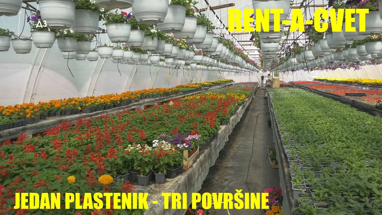 PLASTENICI - kako da imate TRI POVRŠINE U JEDNOM PLASTENIKU - čega su se dosetili proizvodjači ?!