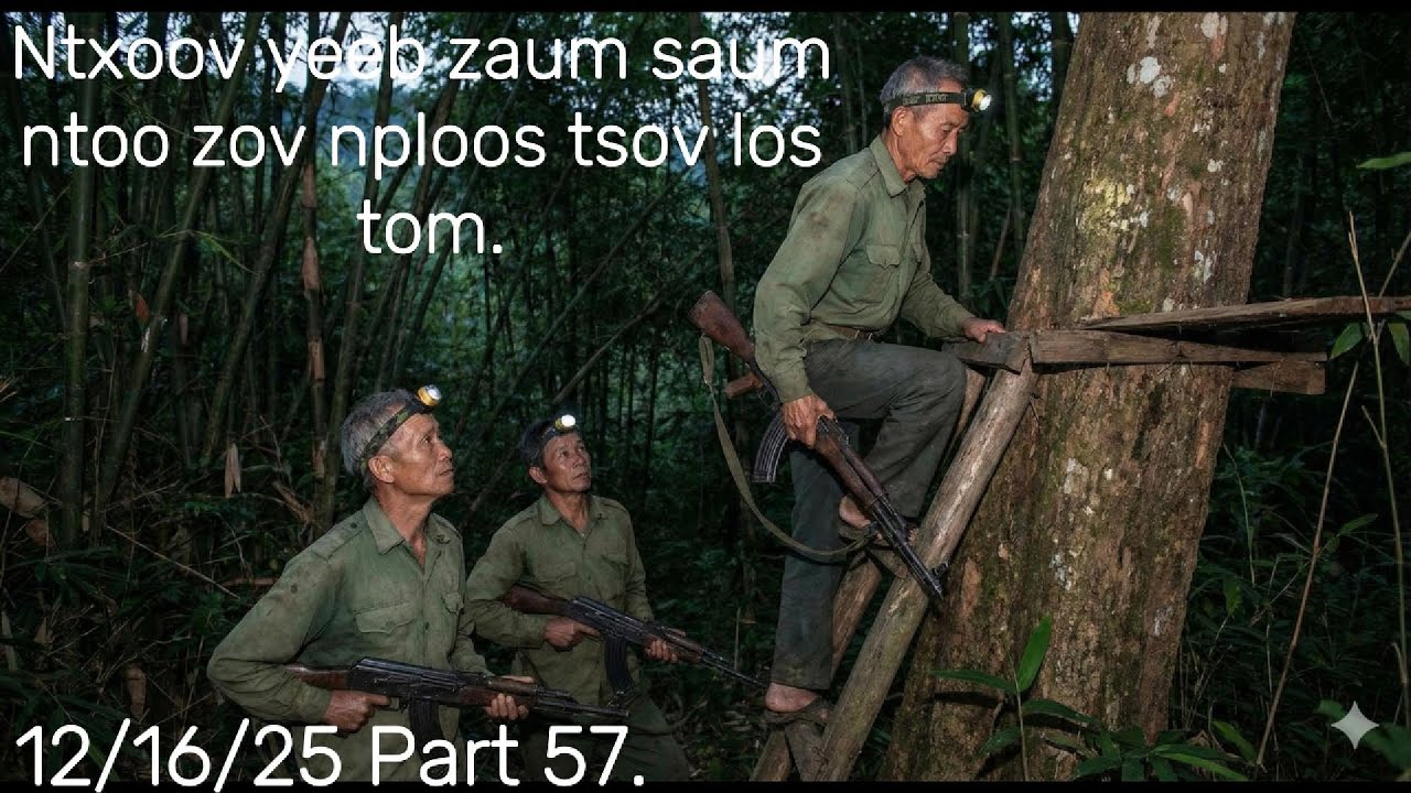 ntxoov yeeb  lawv 3 kwv tij mus zov nploos raug tsov tom txaus ntshai kawg.
