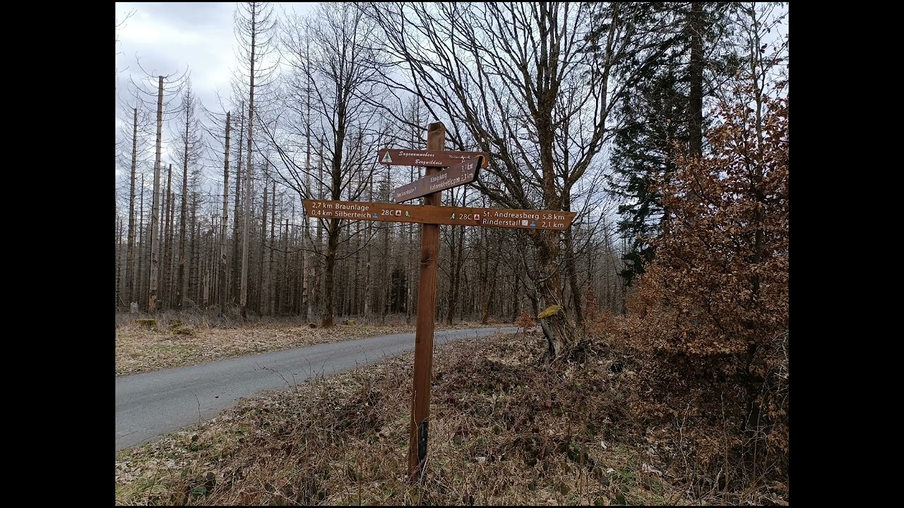 Bildergalerie, Braunlage, St. Andreasberg, HWN 148, 123, 155, 75  🍀🚶☀️