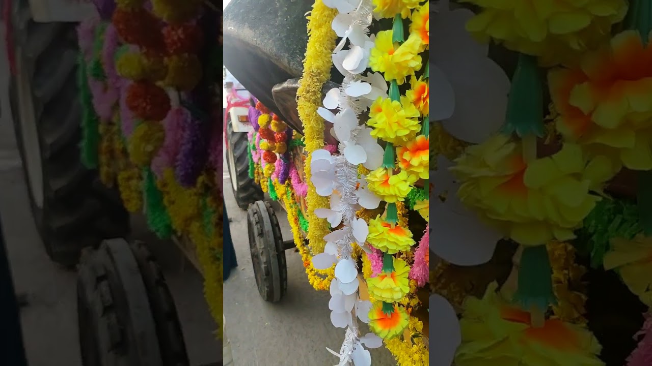 MATTAMPALLY LO SANKRANTI PANDAGA