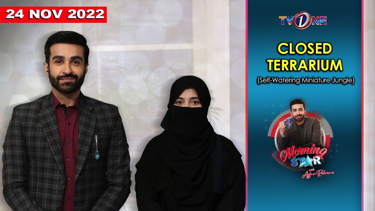 Closed Terrarium (Self-Watering Miniature Jungle) | Morning Star with Azfar Rehman | TVONE