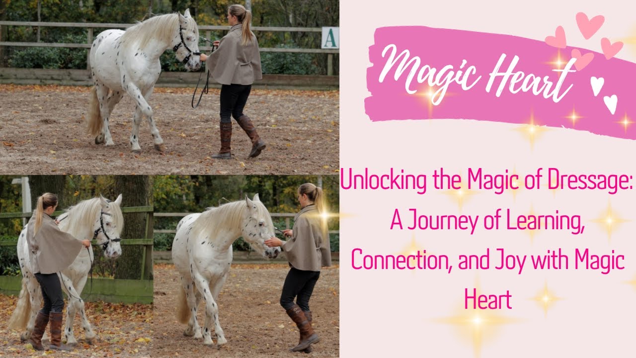 Unlocking the Magic of Dressage: A Journey of Learning, Connection, and Joy with Magic Heart
