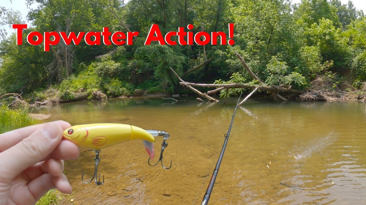 I threw TOPWATER in the CREEK and the results were AMAZING!