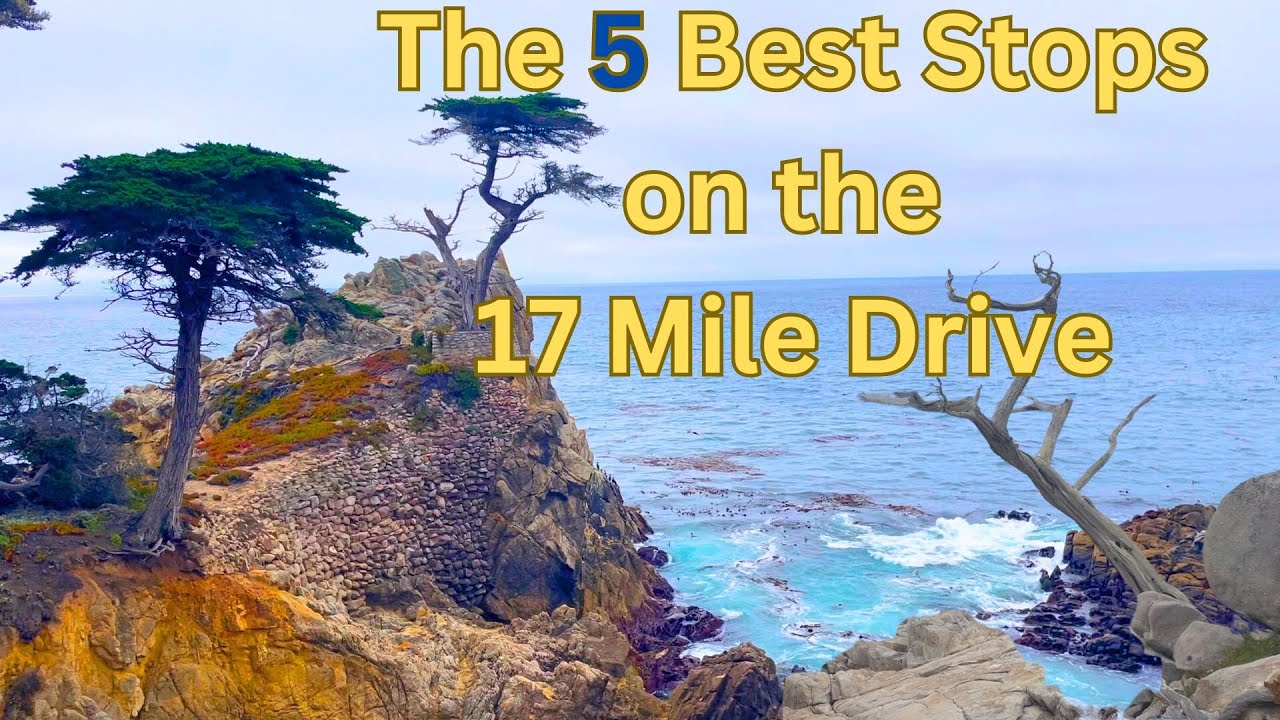 The 5 Best Places on the 17-Mile Drive in Pebble Beach Things to Do