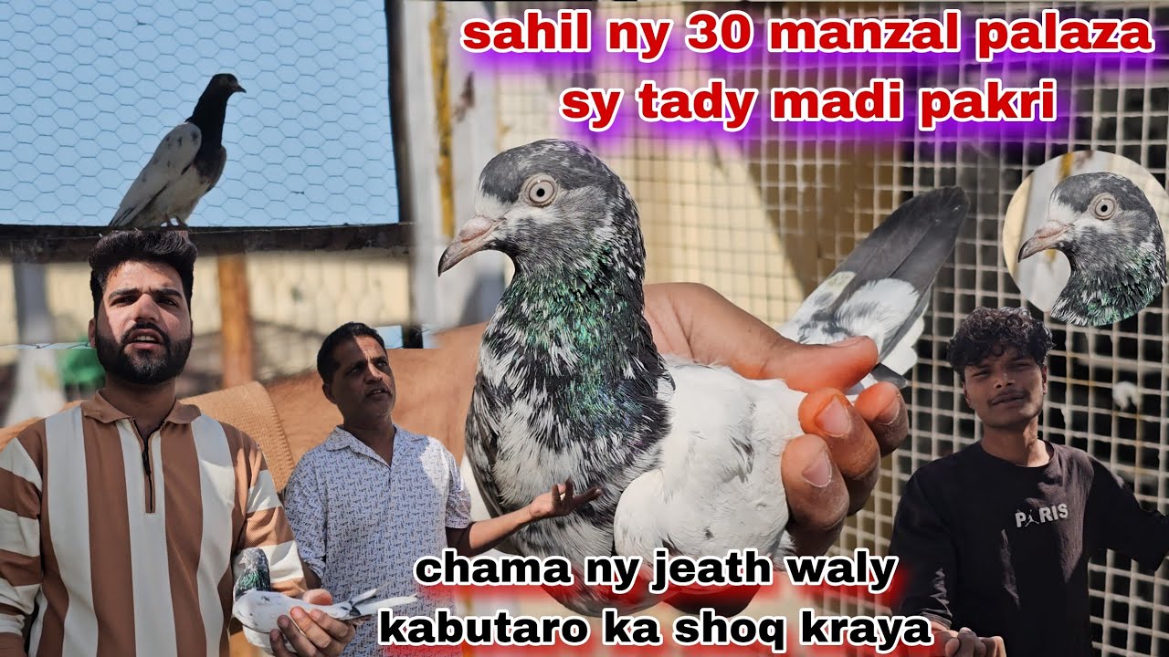 Sahil ny joro wali nayab madi pakri😵chama ny madi ko ruk leya VIP