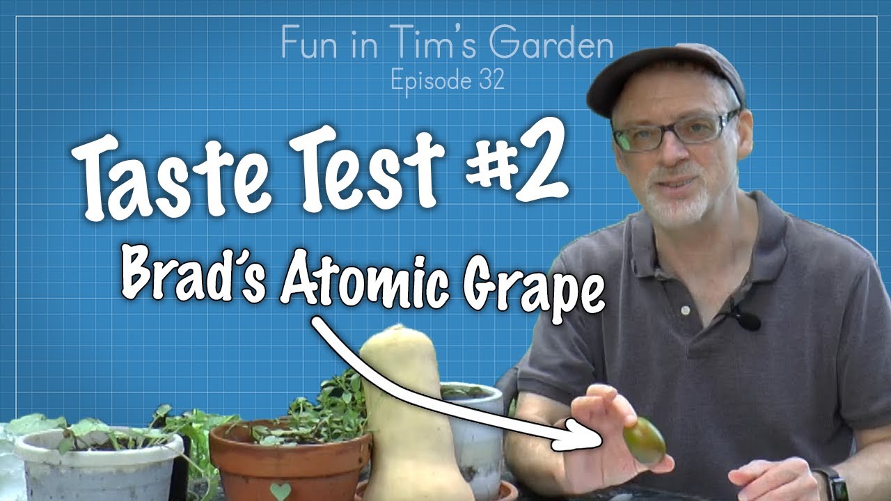 Taste Test #2, Brads Atomic Grape