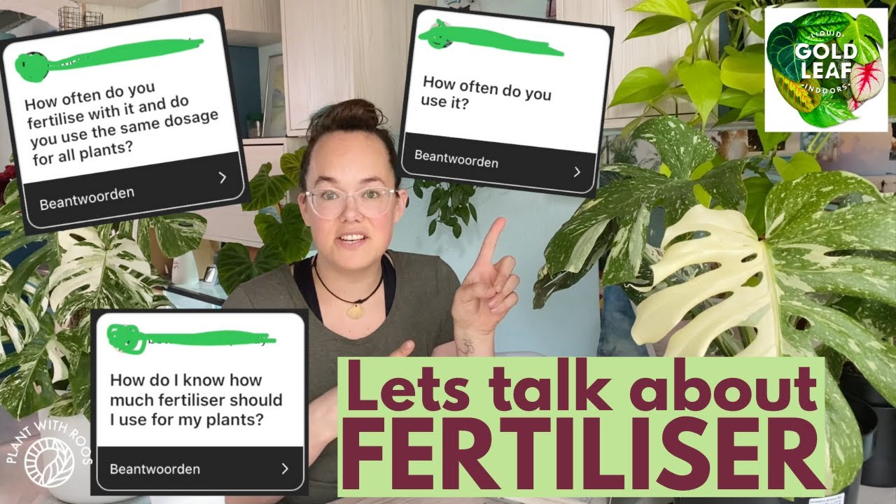 Are you feeding your plants? Fertiliser chat | Plant with Roos