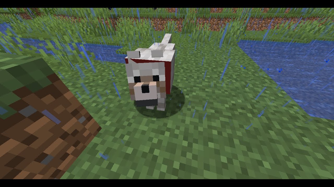 Minecraft, But If My Dog Dies The Video Ends