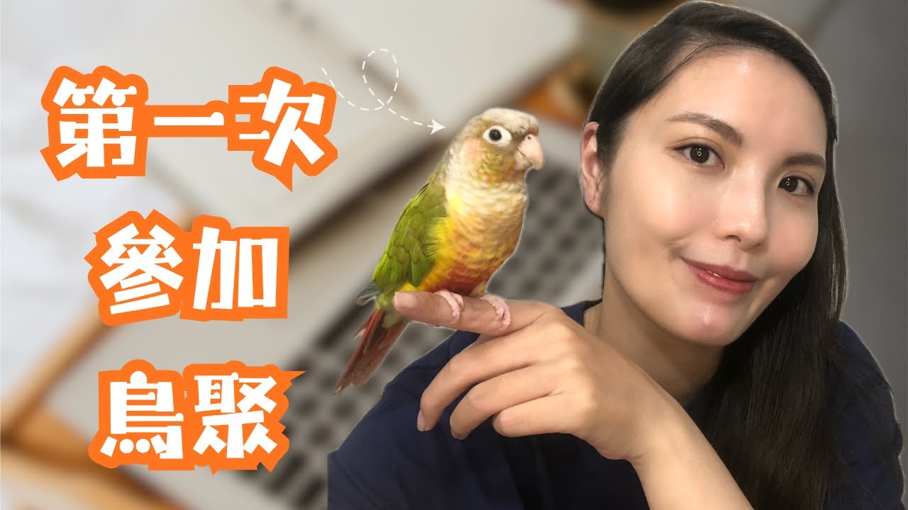 帶小太陽鸚鵡第一次參加鳥聚 |咻丹雞勒