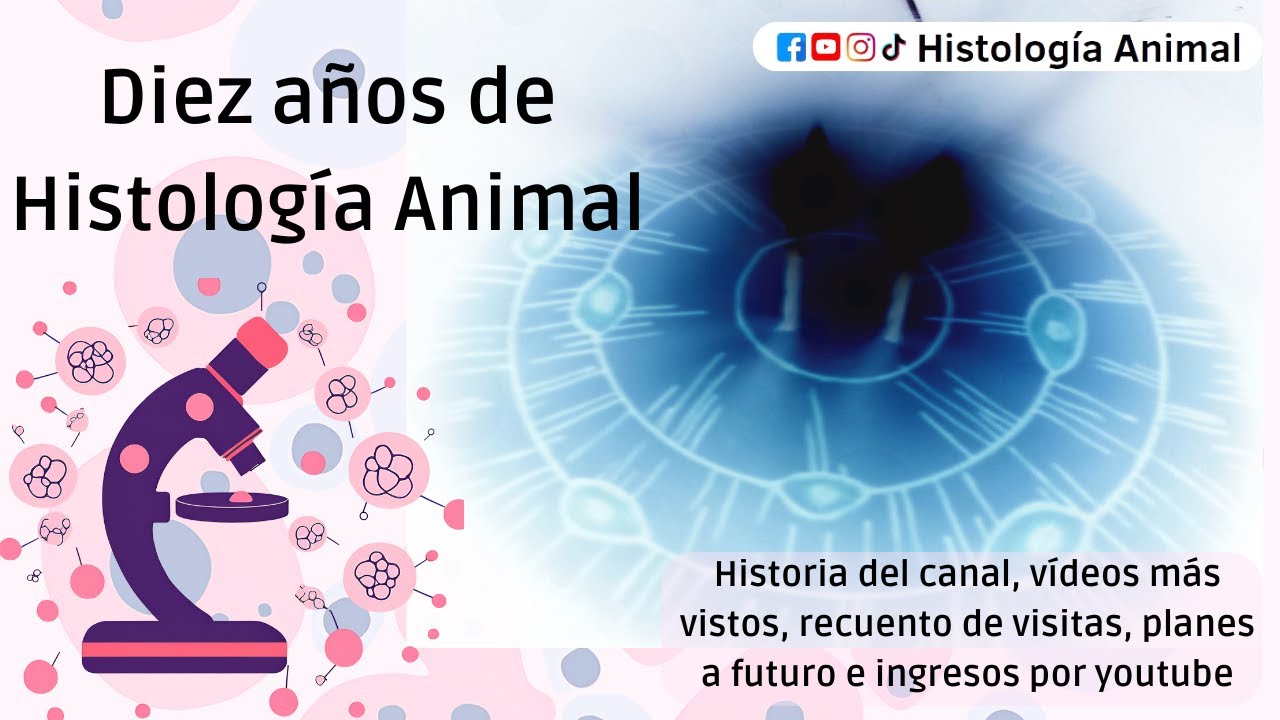 Diez años del canal, video especial del décimo aniversario.