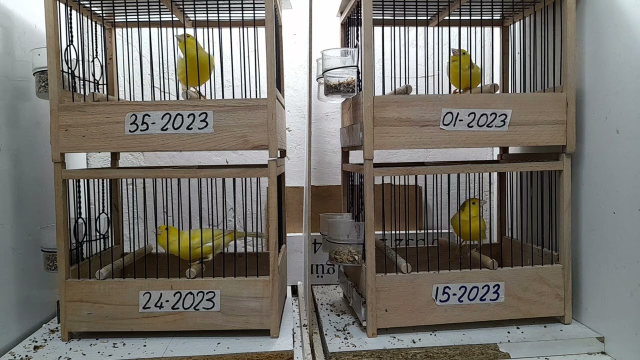 29 Kasım 2023