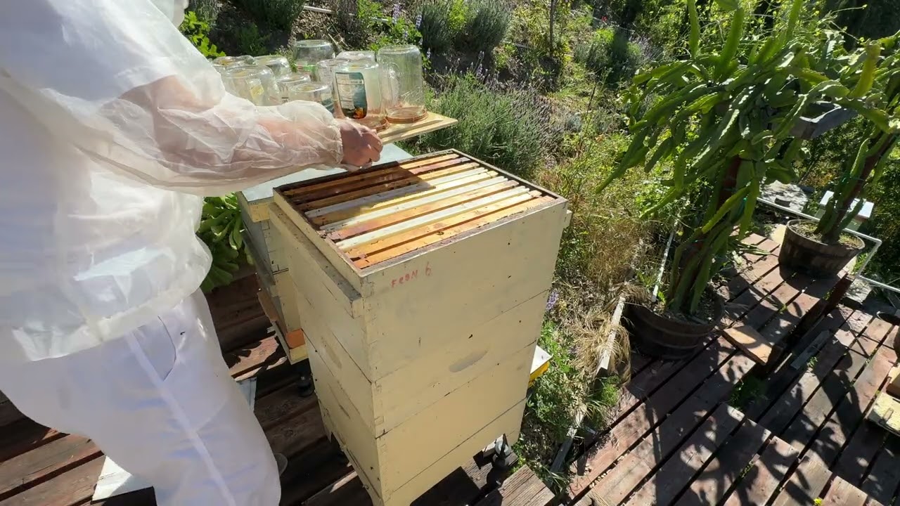 8 марта 2026 новый баночный магазин. March 8 2026 new jar’s magazine. 