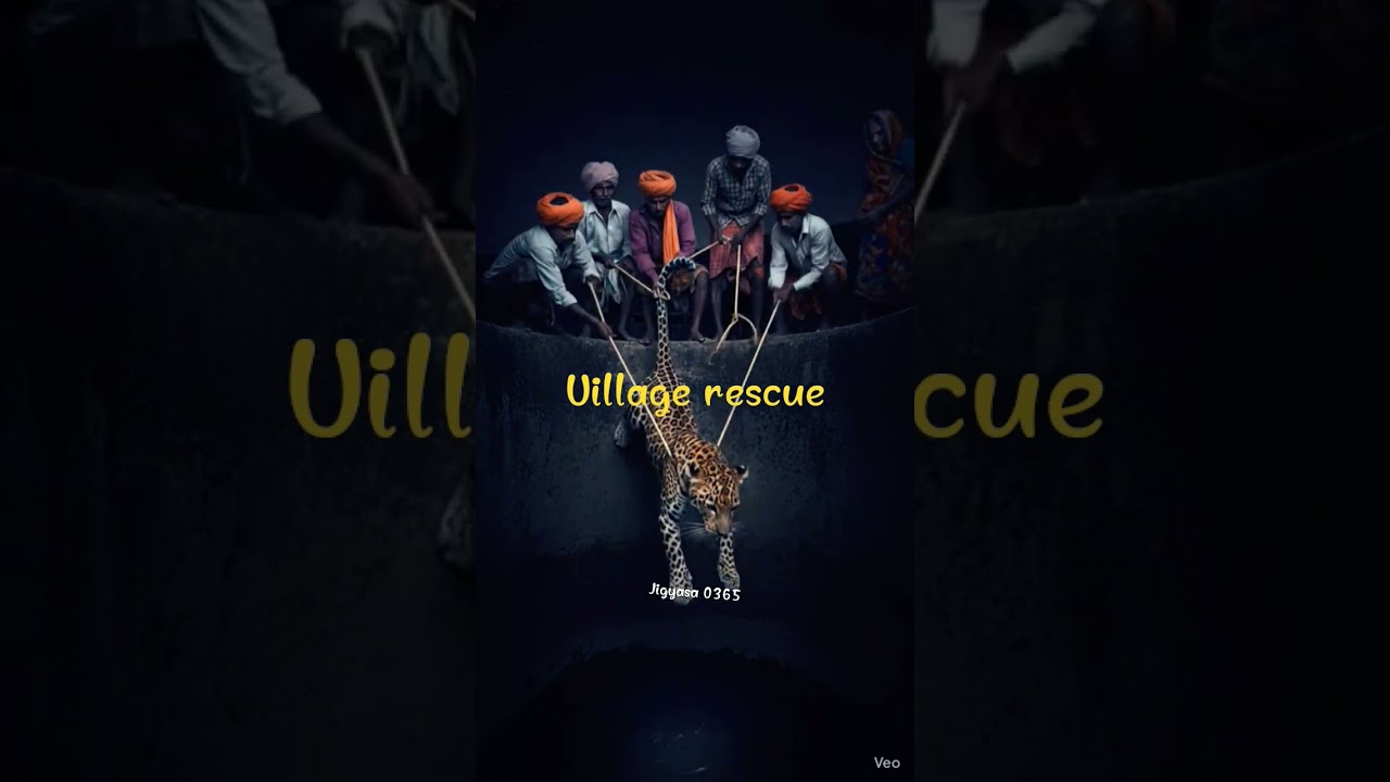 Villagers Risk Lives to Save Drowning Leopard! 