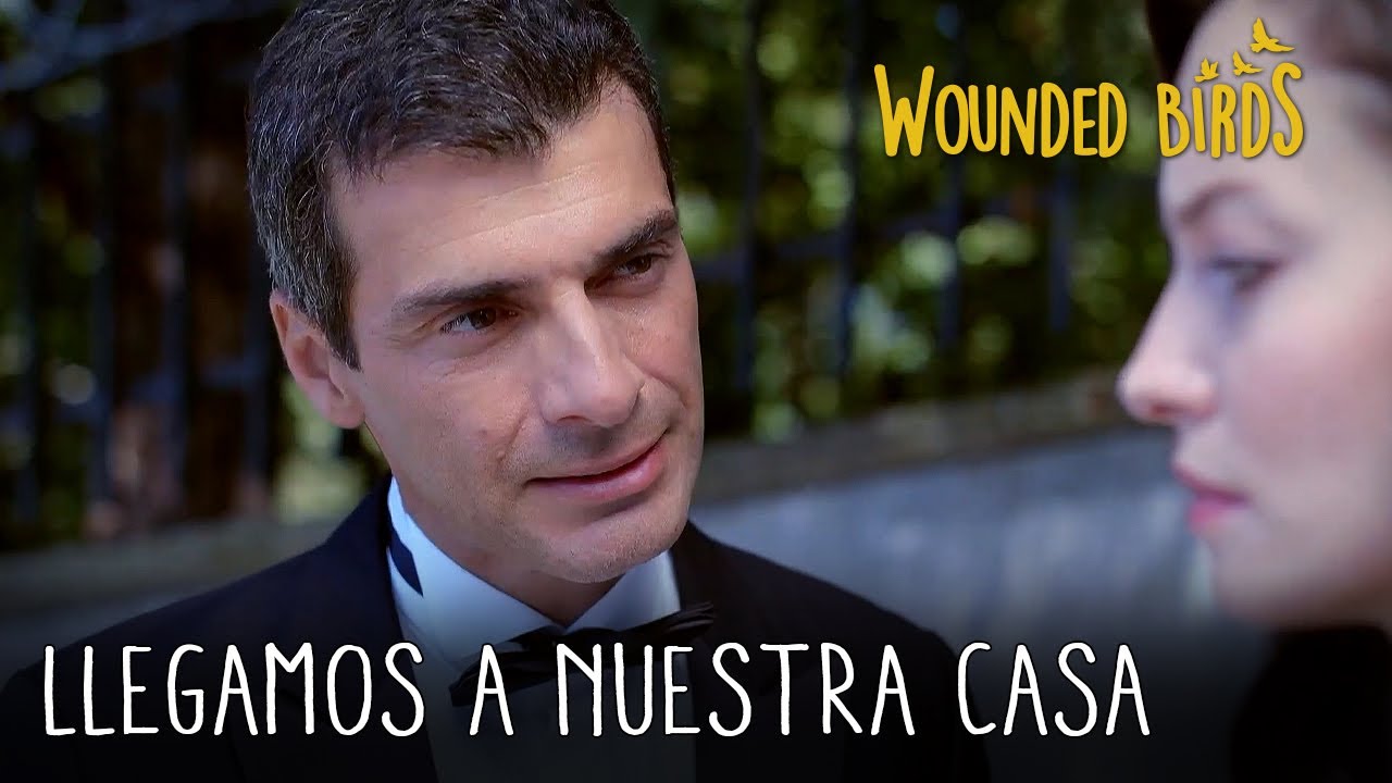 Llegamos a nuestra casa | Wounded Birds (Yaralı Kuşlar) Cap&iacute;tulo 123