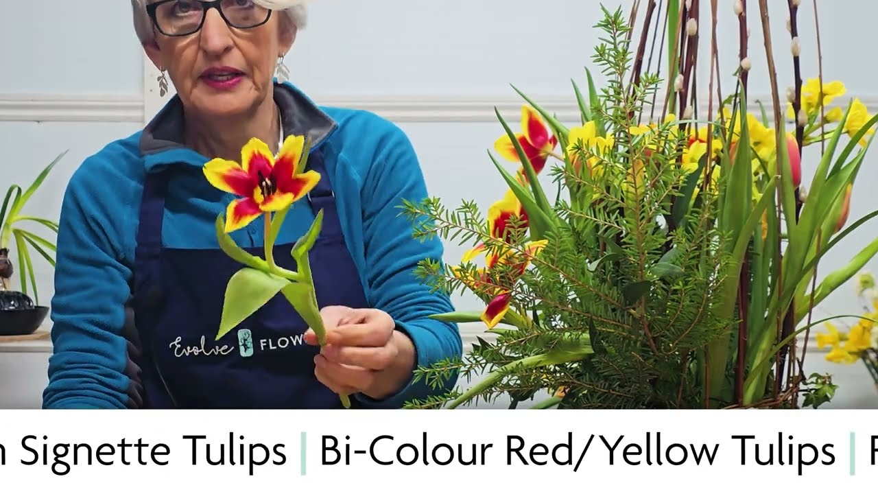 Stunning Spring Tulips Arrangement for Florists & Arrangers