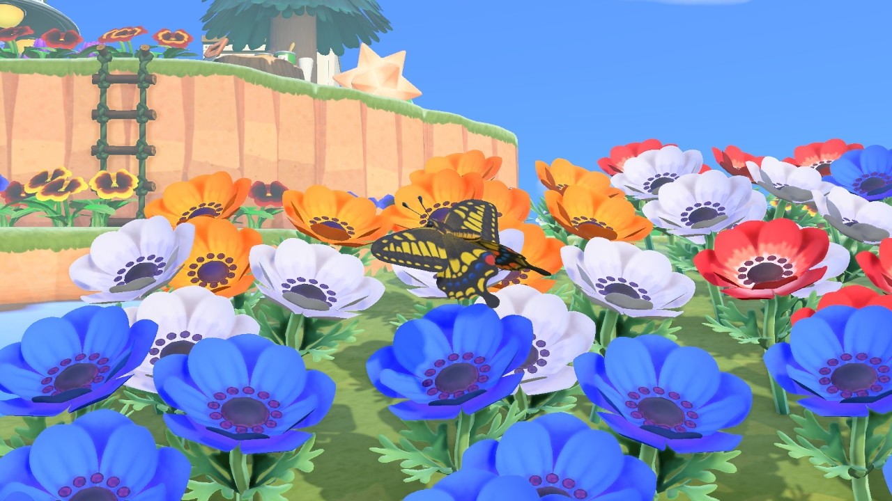 【あつ森】３月１日：黒岩メダカ、生誕【P一族】