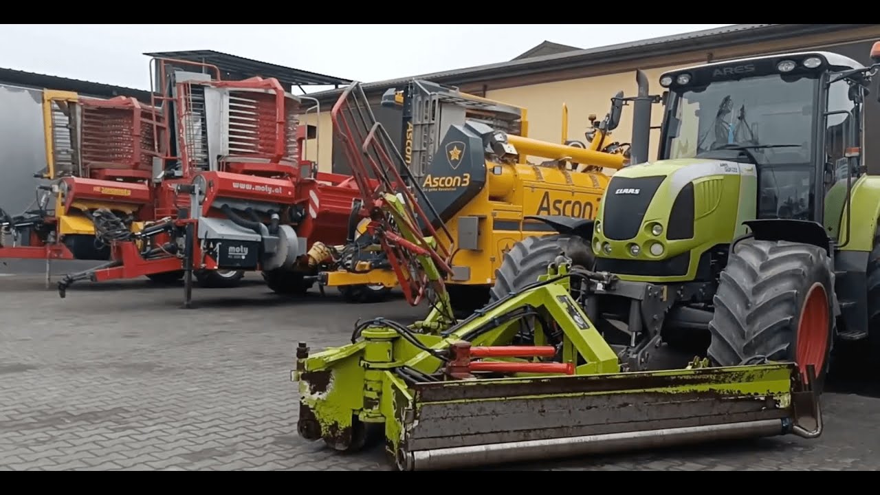 Coraz więcej plantacji dyń w regionie. Firma Farmer z Rokitna partnerem rolników w ich uprawie