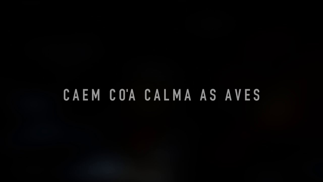 Rui Caeiro - Caem co'a calma as aves (Arquipélago - Ep. 08)