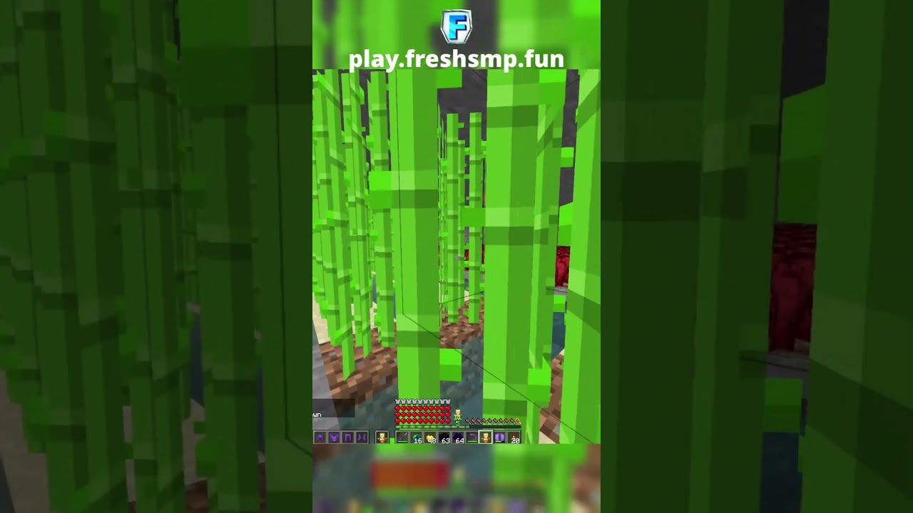 DO NOT trust players on the FreshSMP! #shorts