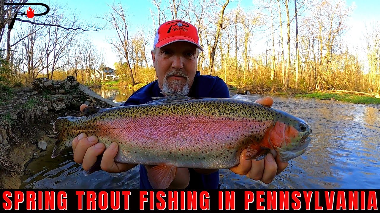 Pennsylvania Spring Trout Fishing
