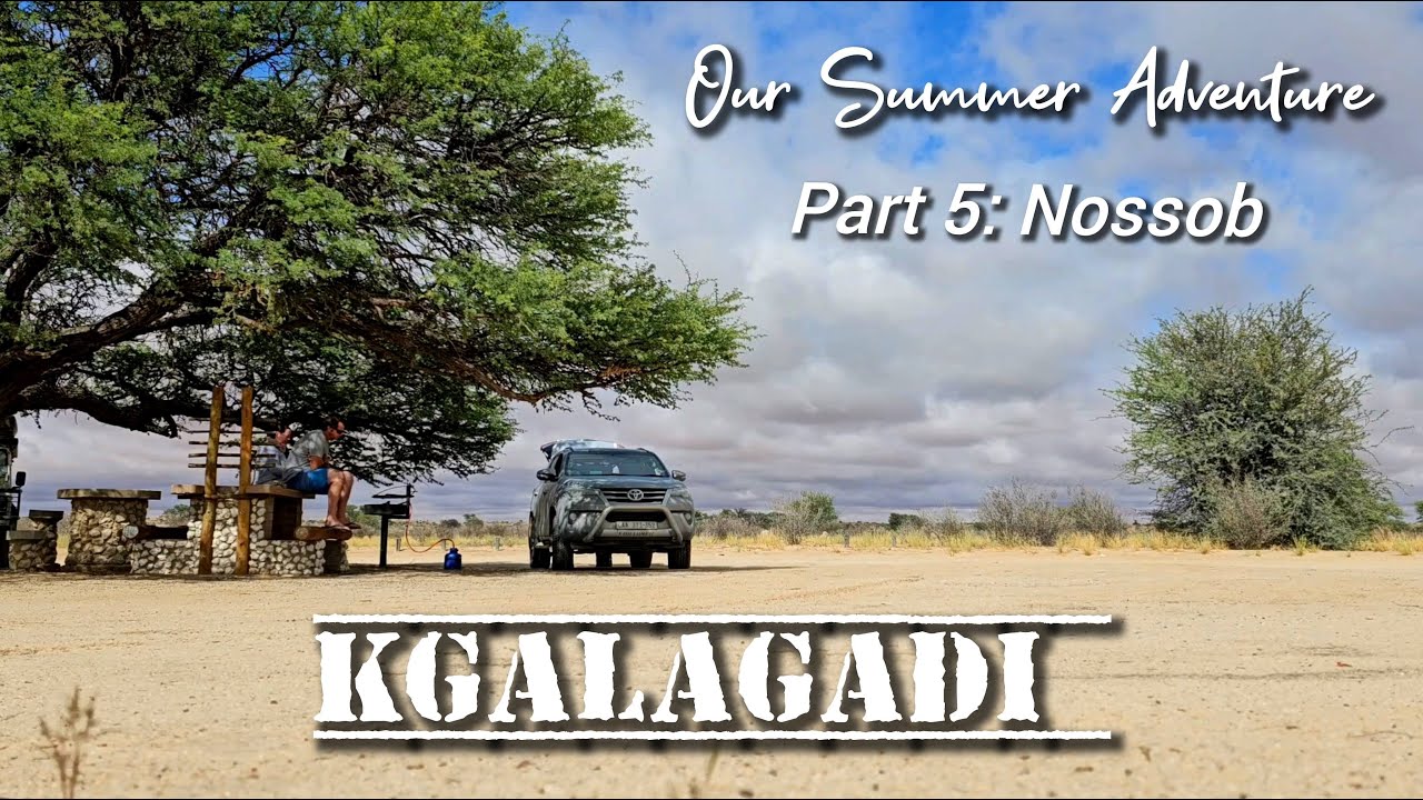 Our Kgalagadi Summer: Part 5 - Nossob, Lijersdraai, Polentswa waterhole