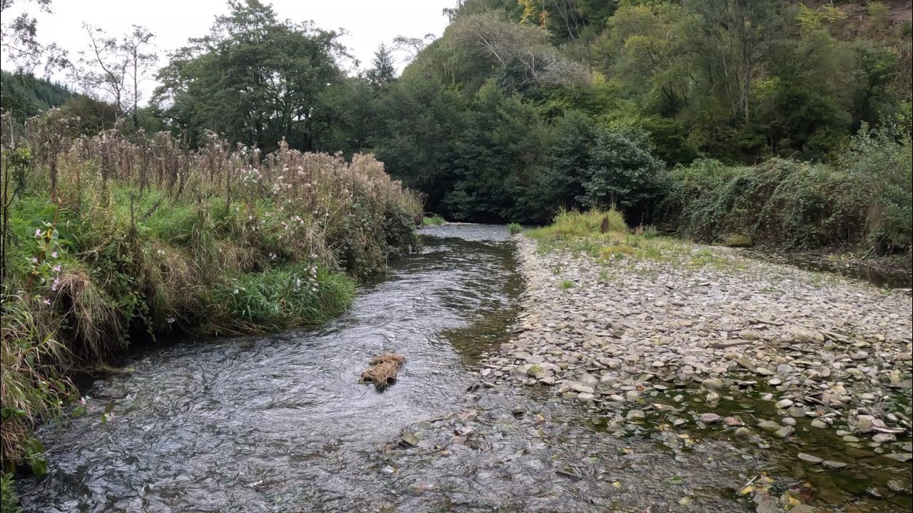 River LUGG and ARROW - Wędkarstwo muchowe w UK