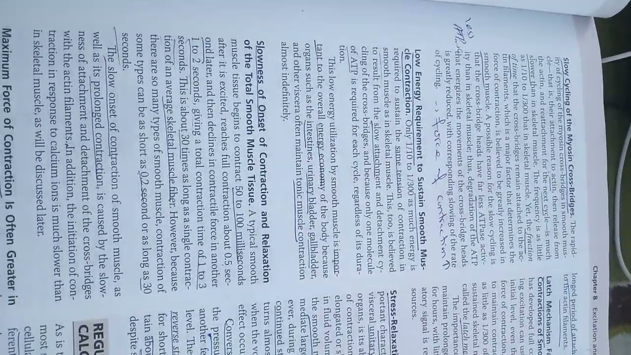 Comparison of Skeletal and smooth muscle part3 