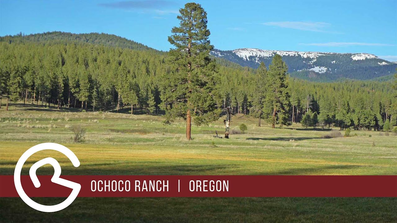 Oregon Ranches for sale: Ochoco Ranch by Mason & Morse Ranch Company