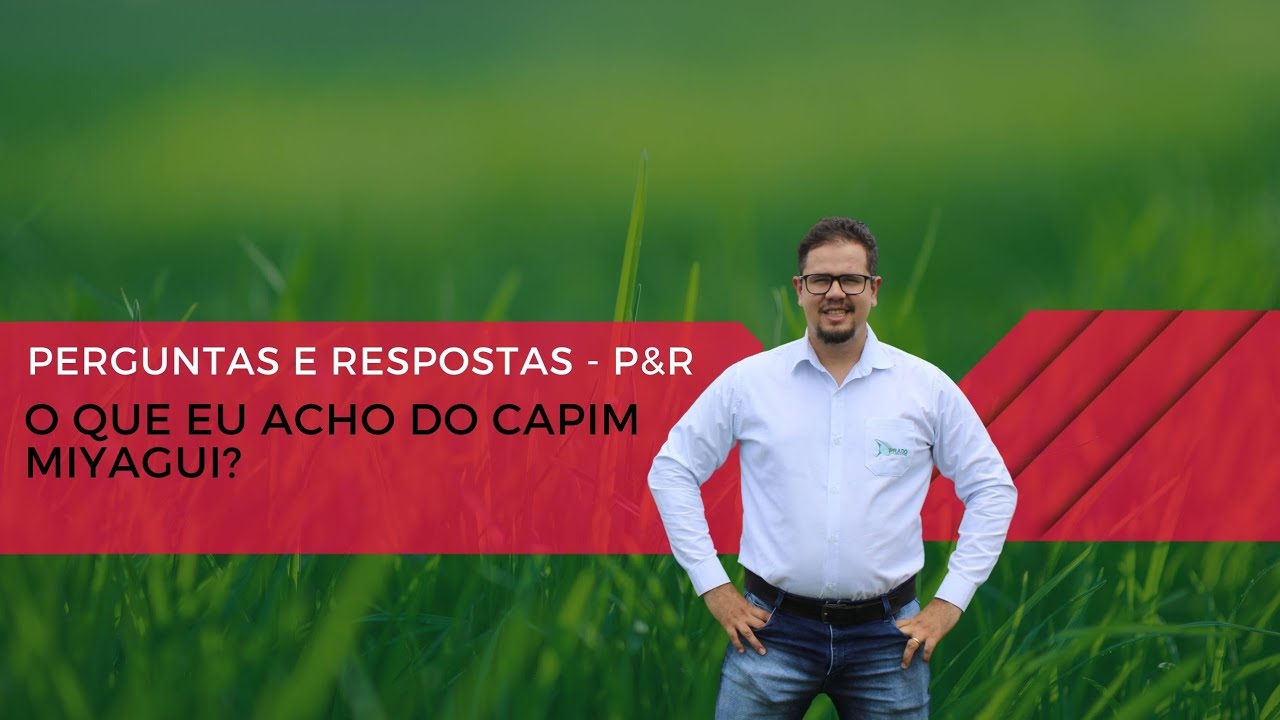 Minha impress&atilde;o sobre o Capim Miyagui! &Eacute; bom?
