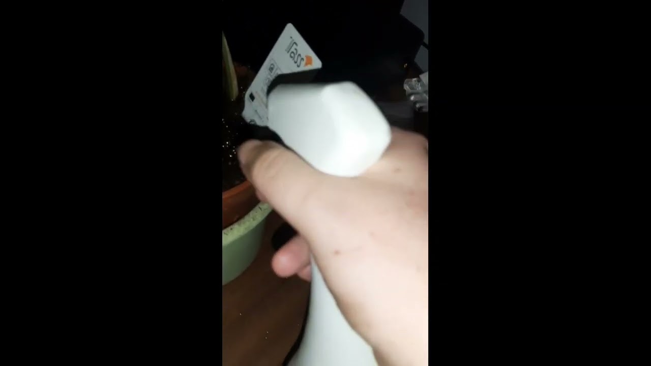 jak pielęgnować calathea white fusion