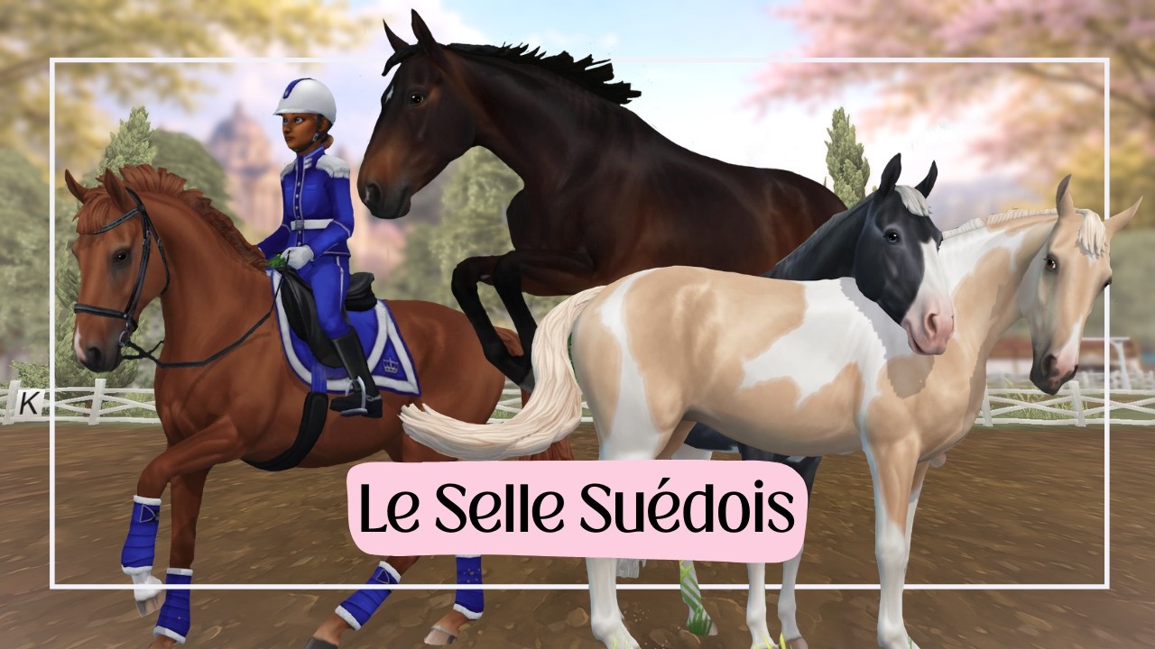 Achat du Selle Suédois! - MAJ SSO