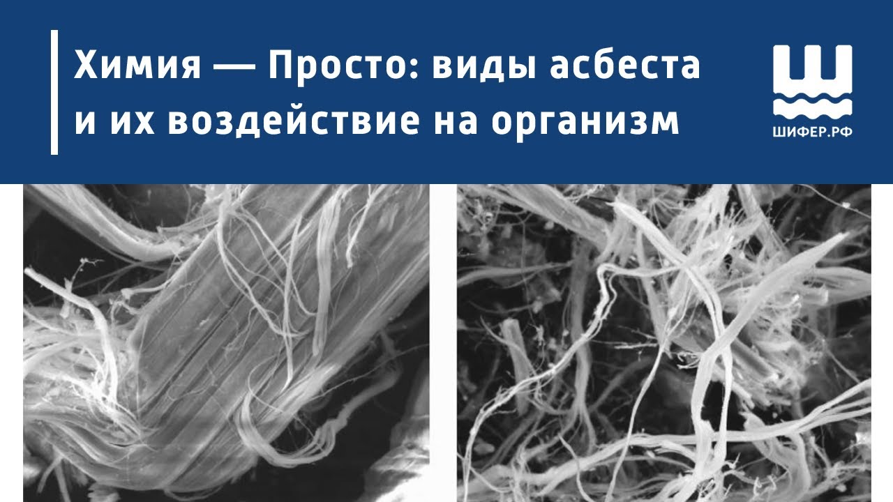 Химия &mdash; Просто: виды асбеста и их воздействие на организм