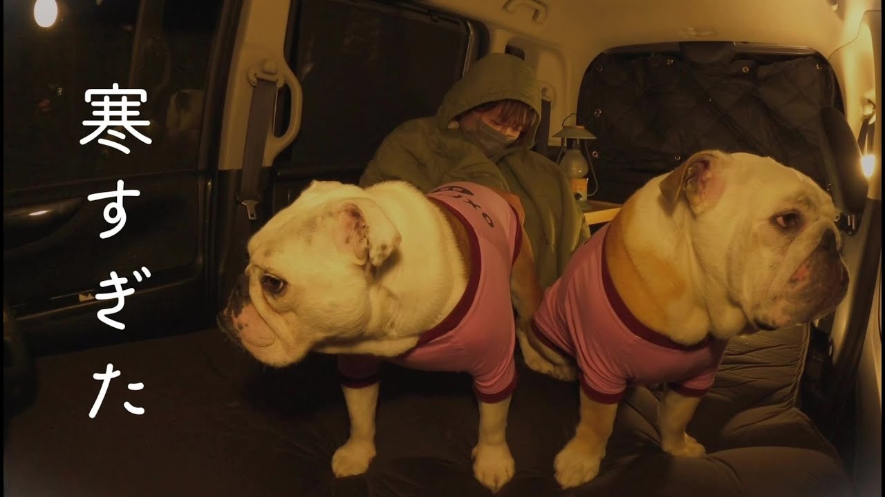 マイナス５℃極寒地で緊急車中泊、愛犬の温もりを肌に感じながら過ごす夜【EcoFlow GLACIER】