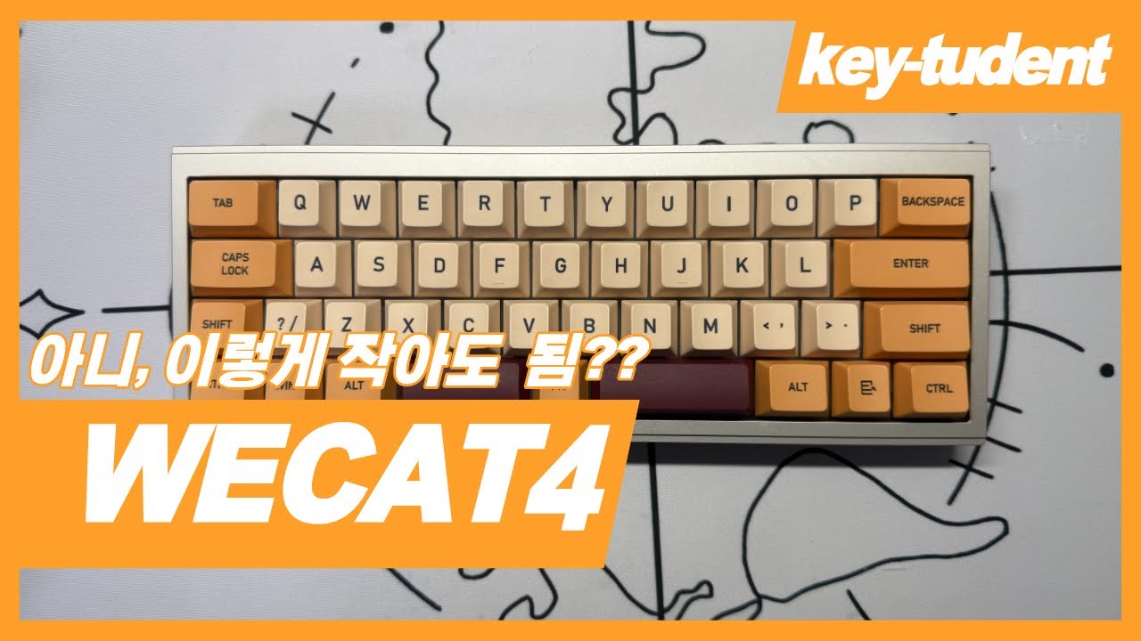 40배열..? 이렇게 작아도되나? Wecat4😻