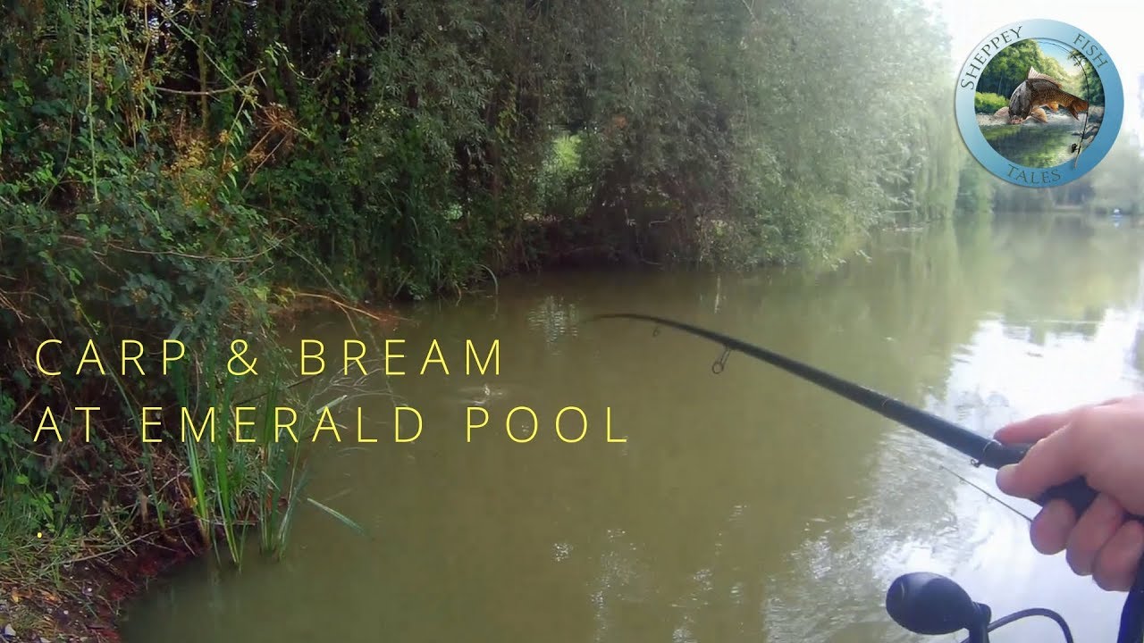 Fishing for Pasty Carp and Bream