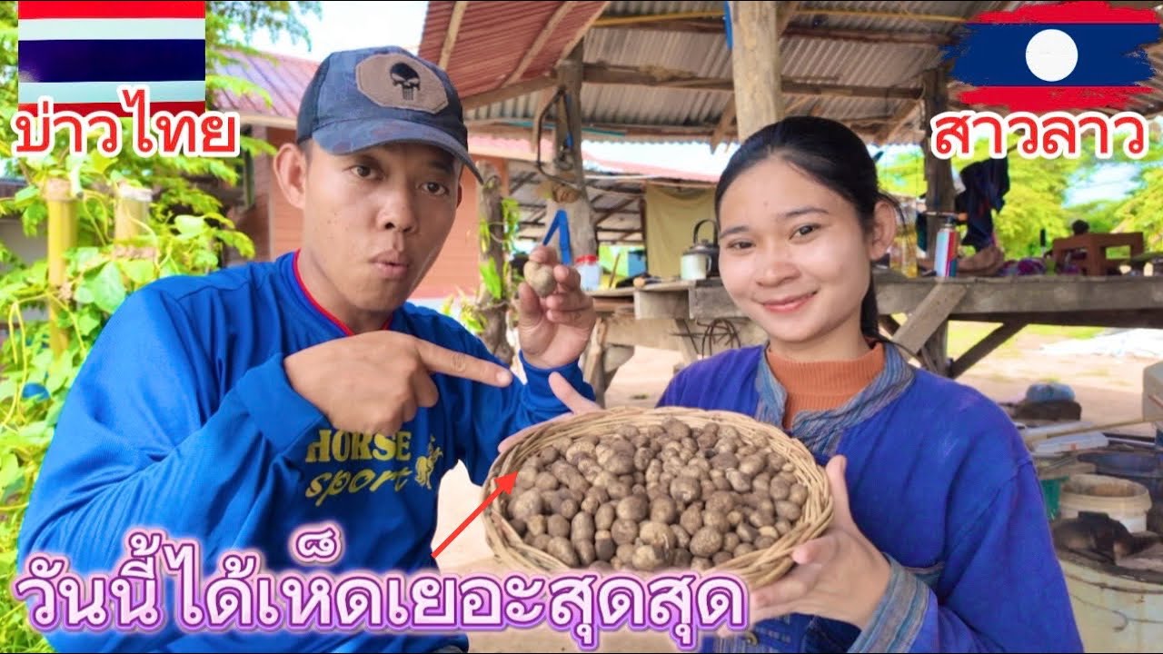 ครั้งแรกที่ได้เห็ดเผาะเยอะสุดๆสาวลาว🇱🇦บ่าวไทย🇹🇭ตื่นเต้นมากๆ