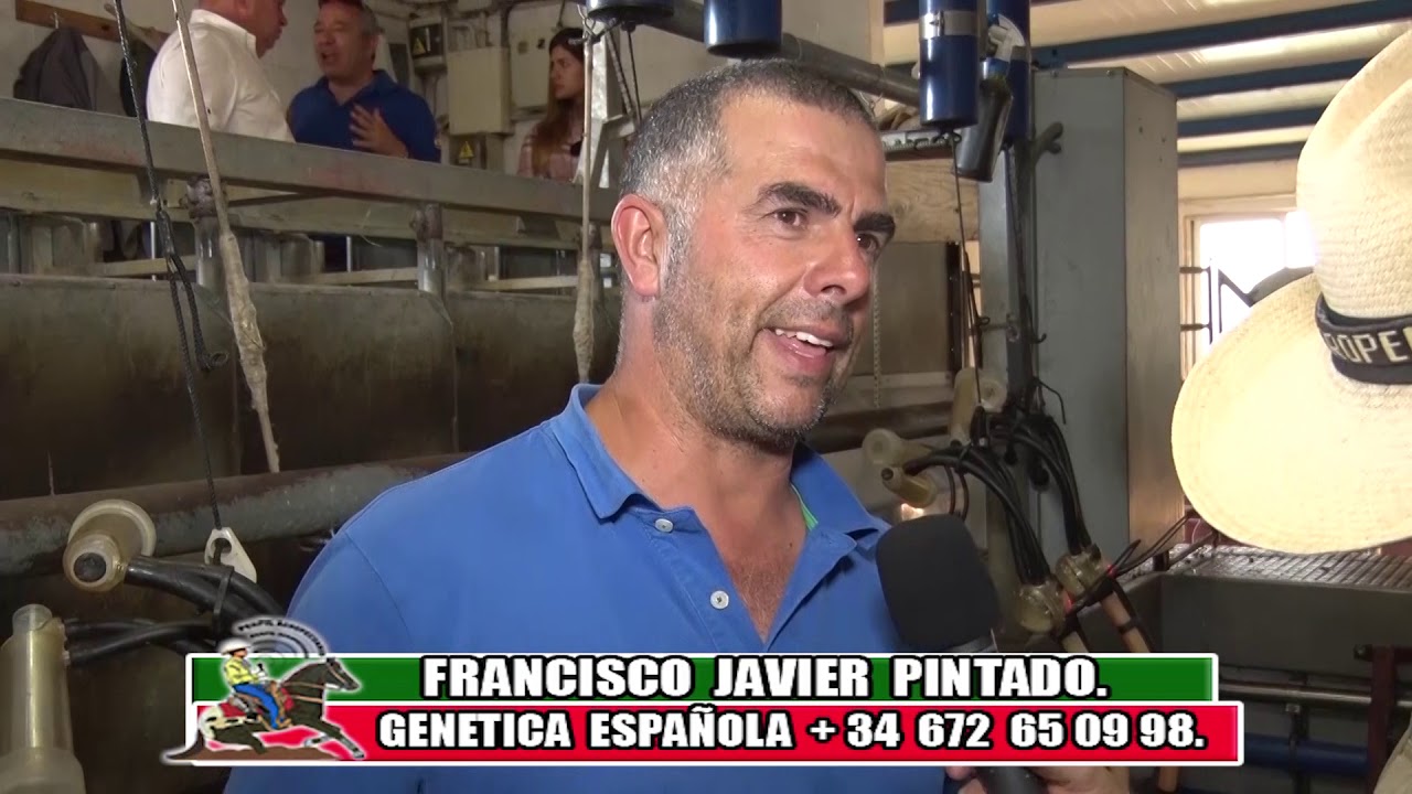 Programa de OVEJAS LECHERAS ASSAF