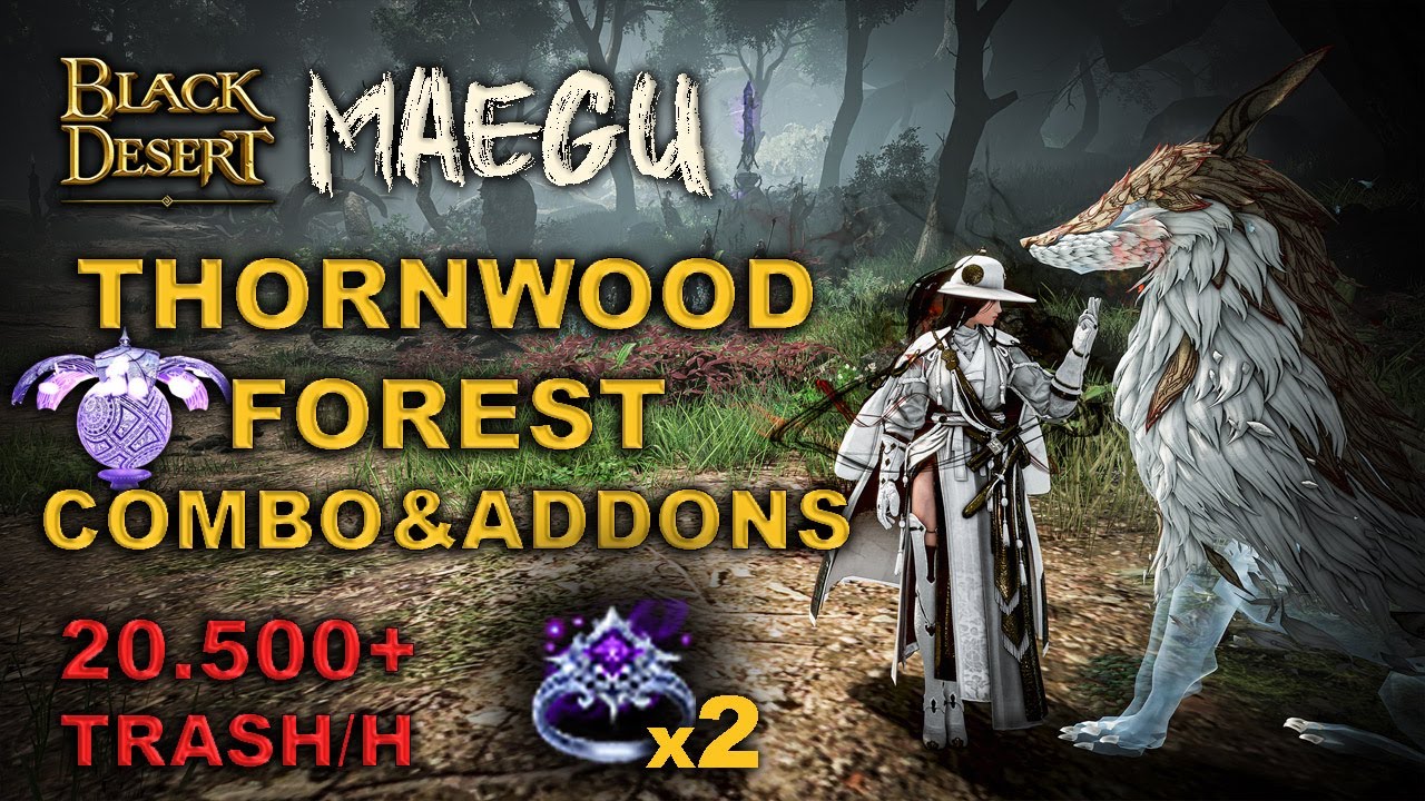 BDO | Succession Maegu PvE | Thornwood Forest - Dehkia's Lantern 20.5k Lv.2 Only | Combo & Addons |