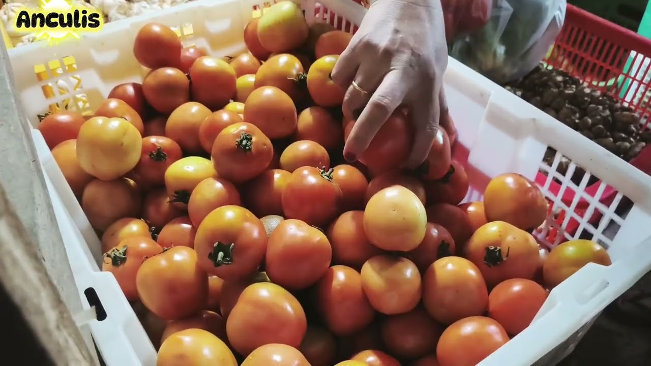 PASAR BONGKARAN KEREK TUBAN