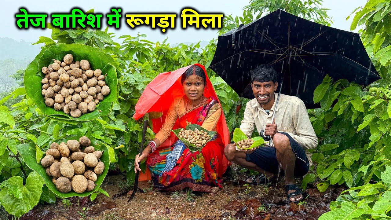 तेज बारिश में इतना सारा रूगड़ा मिला | सखुआ के जंगलों में रूगड़ा | Pahadi Traditional Food