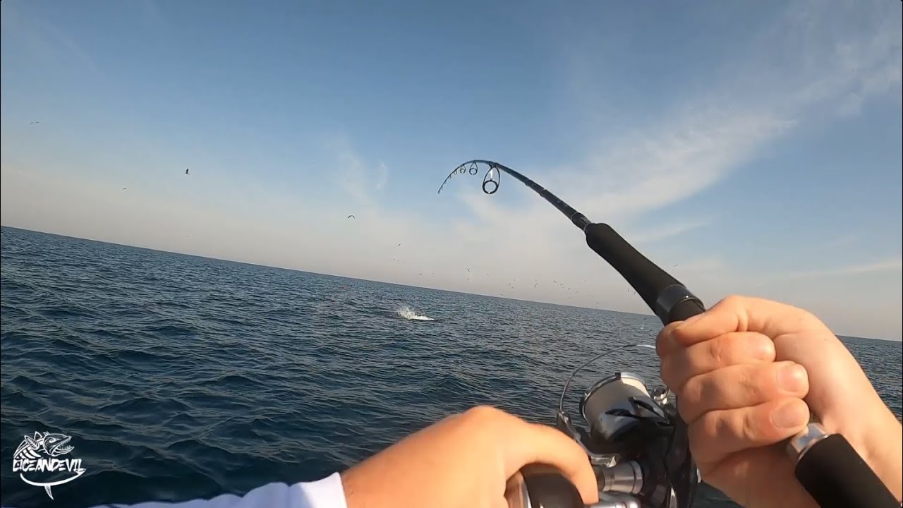 OceanDevil King Slayer 76 Lure casting rod 2023 Model - Dubai King Fish and Bonito Fishing