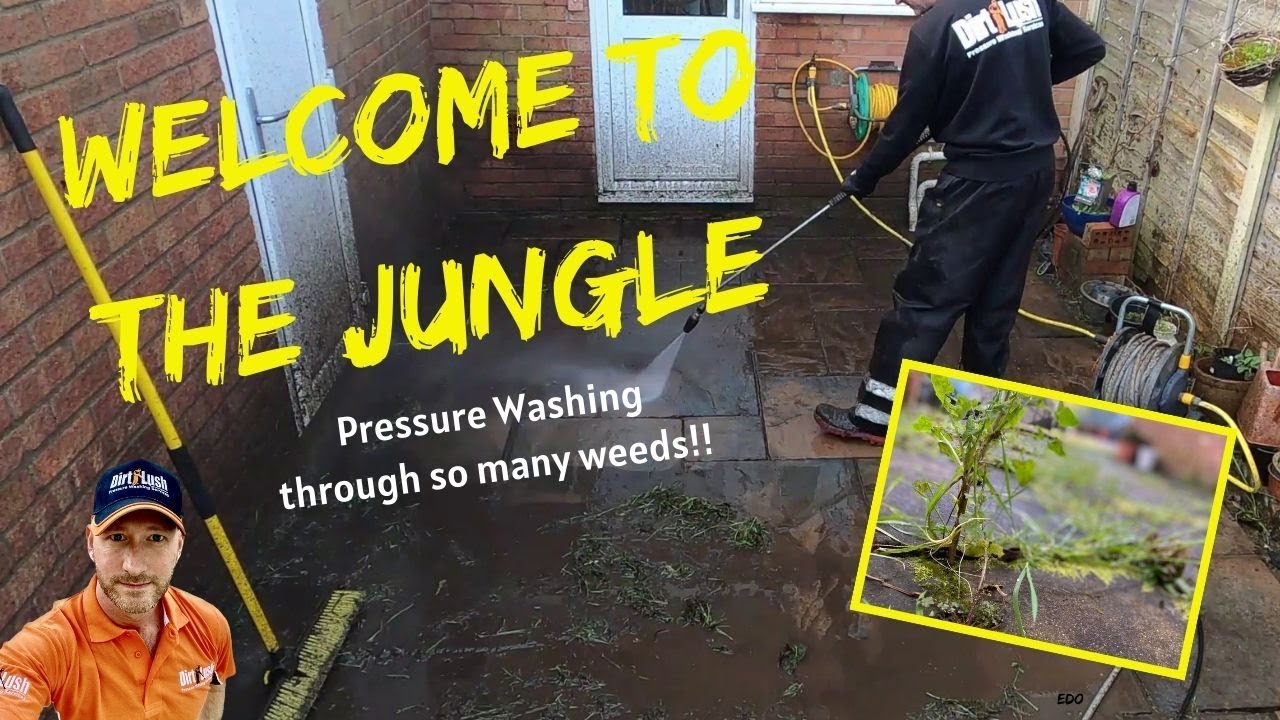 Welcome to the jungle. Pressure washing through a patio of weeds