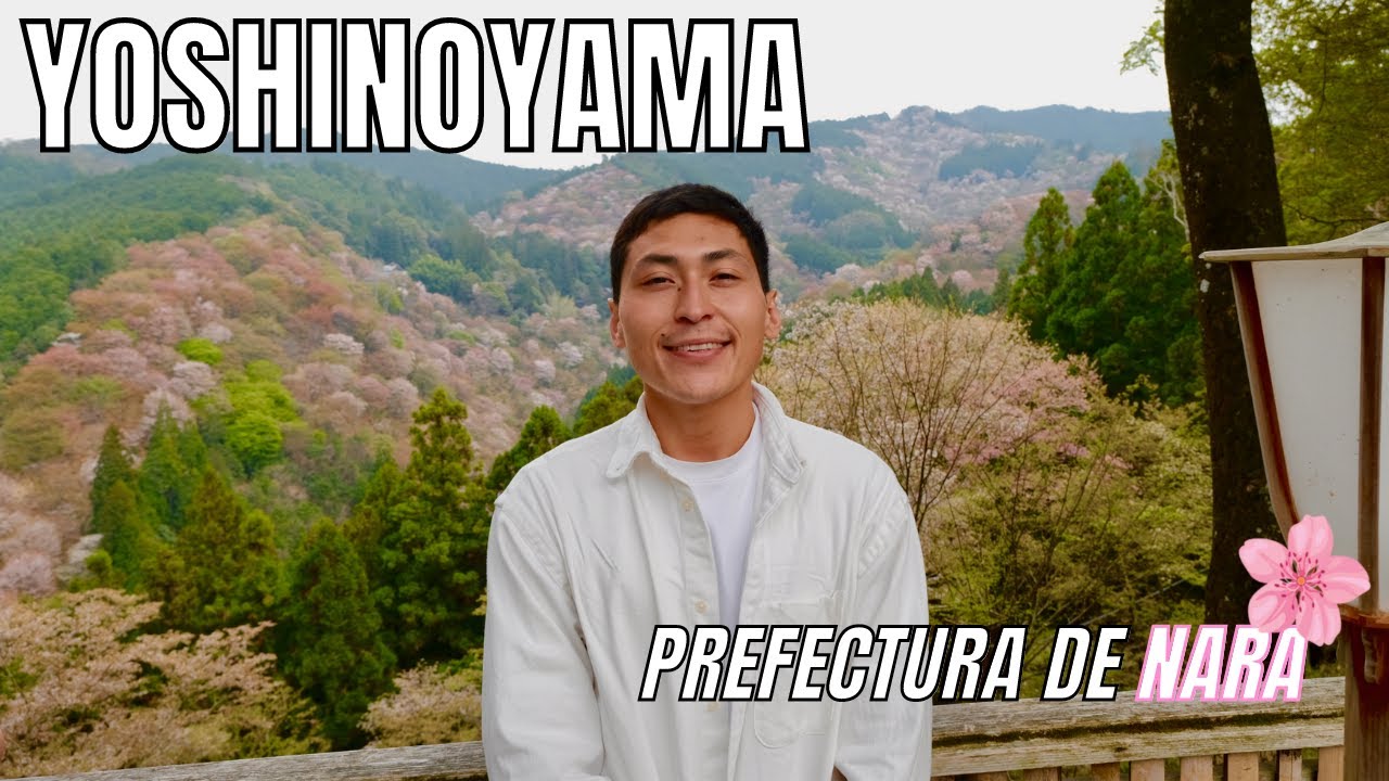 La magia de 30.000 sakuras: Explorando el Monte Yoshino en Nara, Japón 2025