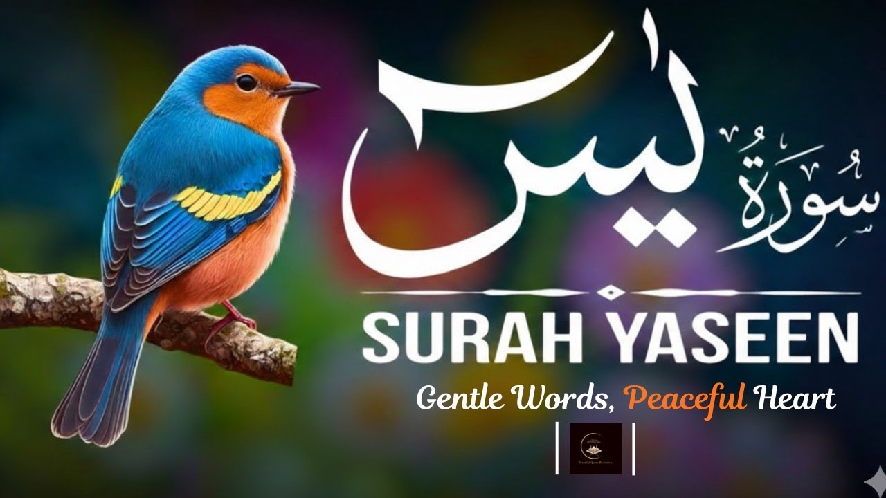 Surah Yaseen (سورة يس) Ramadan Special 🌙 Powerful Recitation for Rizq, Shifa & Forgiveness