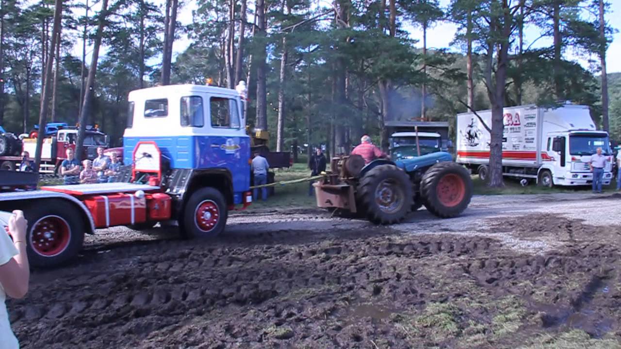 Lyngdal Dyrskue 2015