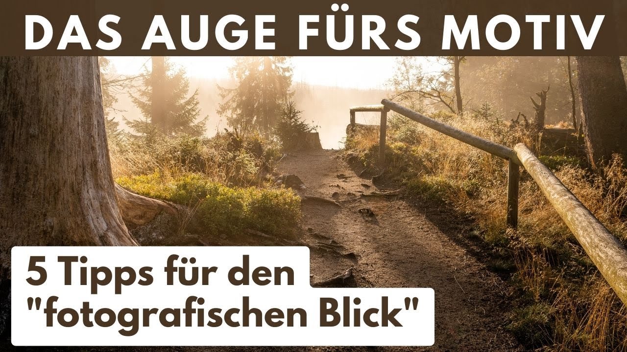 5 Tipps, um deinen fotografischen Blick zu trainieren